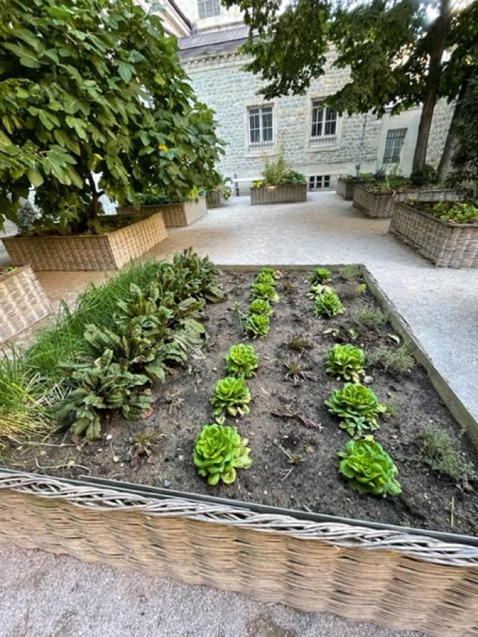Au Jardin De La Basilique Apartment Boulogne-sur-Mer Exterior foto